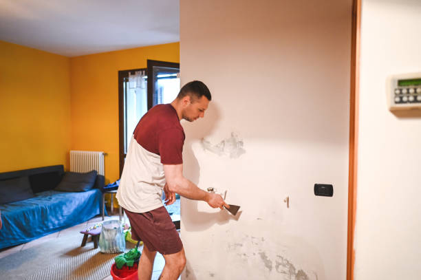 Best Insurance-Related Mold Remediation in Sumrall, MS